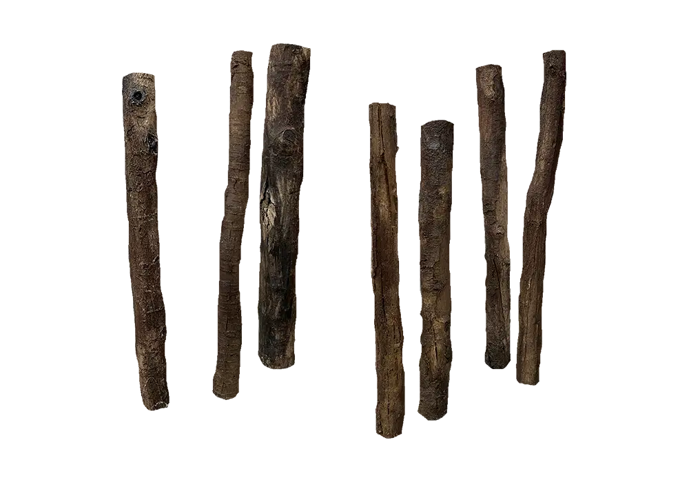 https://cdn.aquadecorbackgrounds.com/aquadecor-blob/d-30-standing-logs.webp