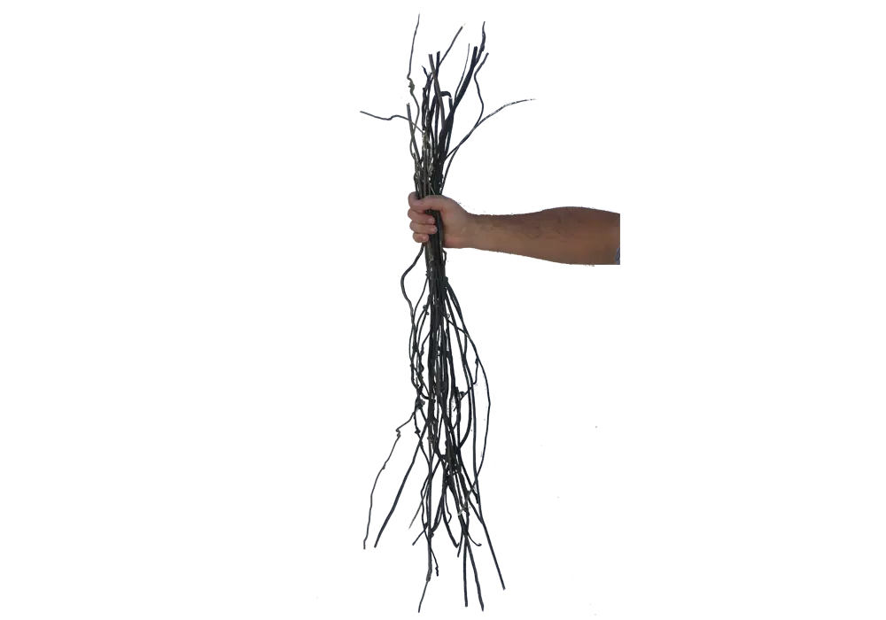 https://cdn.aquadecorbackgrounds.com/aquadecor-blob/d-8-thin-roots.webp