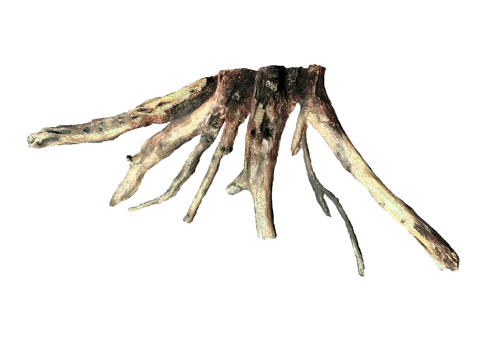 https://cdn.aquadecorbackgrounds.com/aquadecor-blob/s-3-back-panel-roots.webp