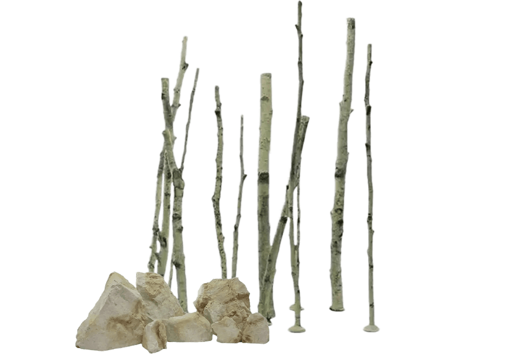 Set 14