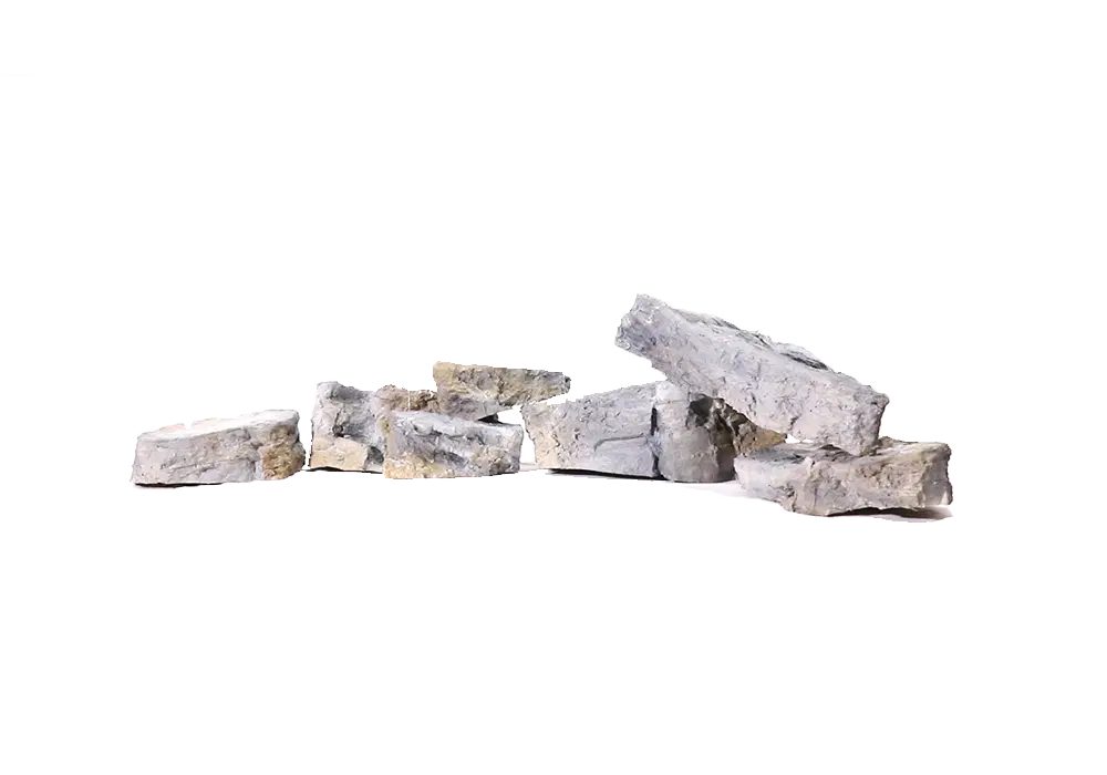 D - 7 Model