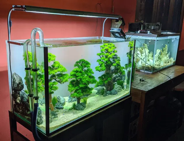 aquarium-stream-pumps