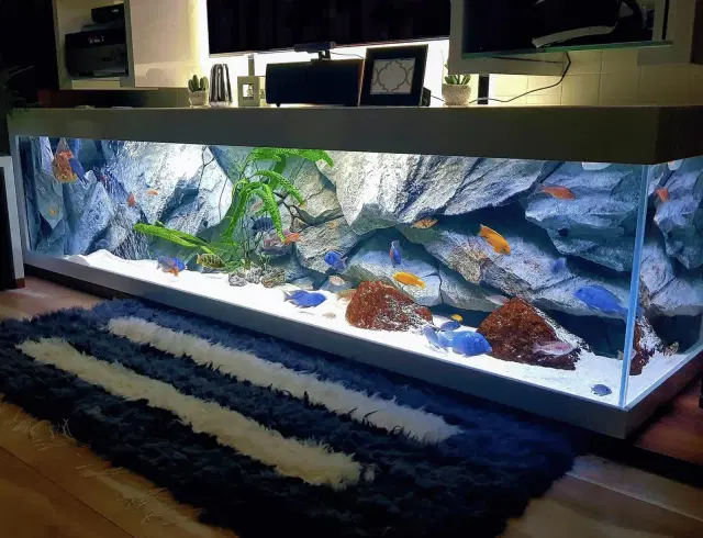 big-home-aquarium
