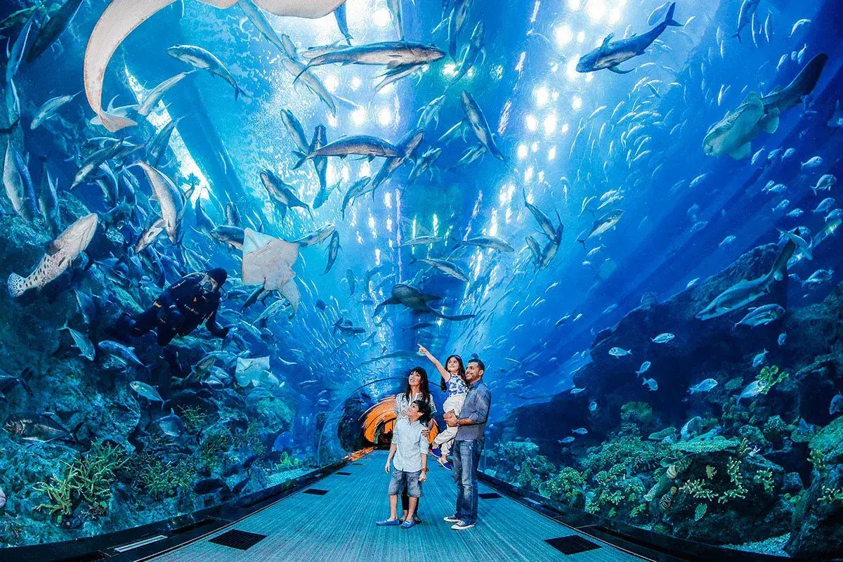 biggest-aquarium-dubai-mall