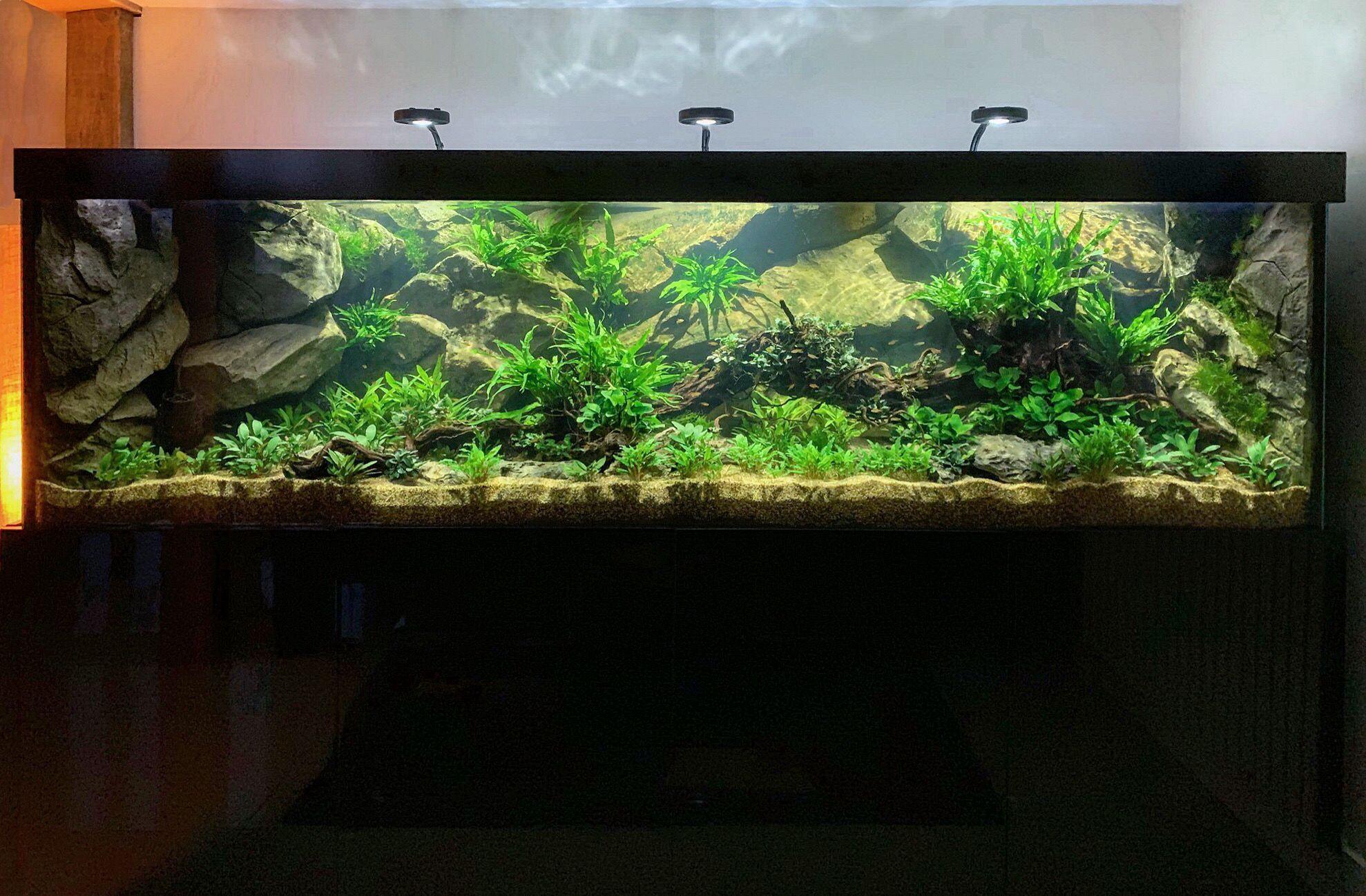 creative-aquarium-idea.JPEG