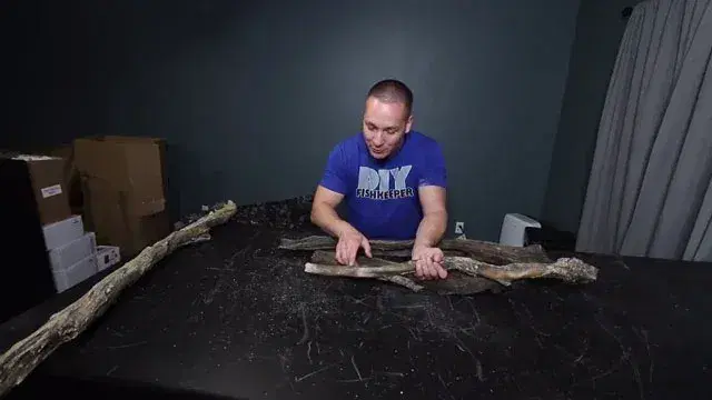 joey-mullen-wood-aquadecor