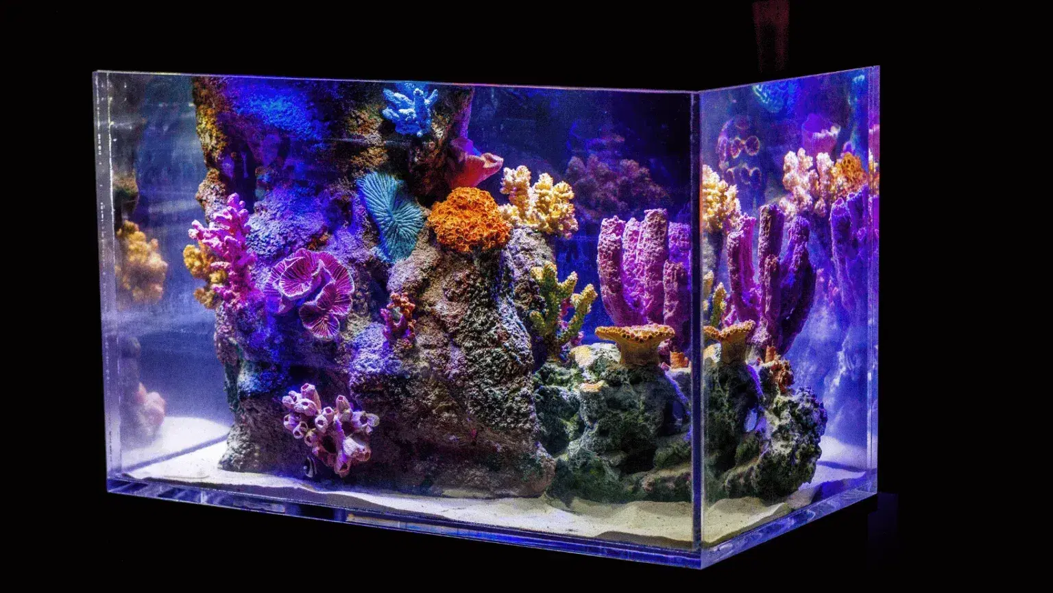 marine-aquarium