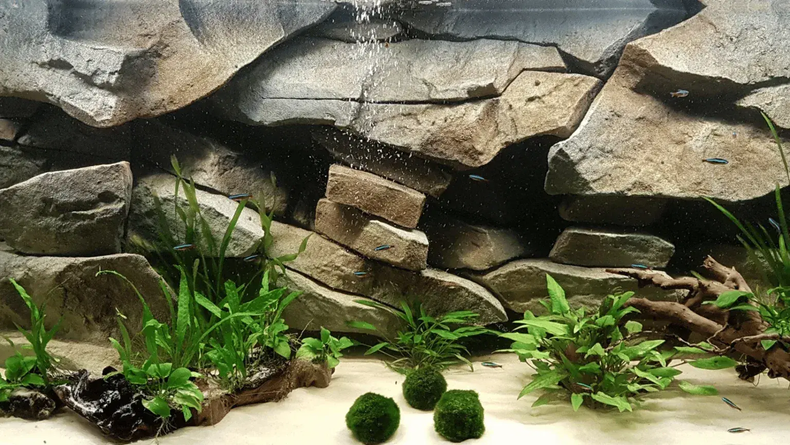 stone-aquarium-background