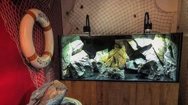 stone-aquarium-decoration