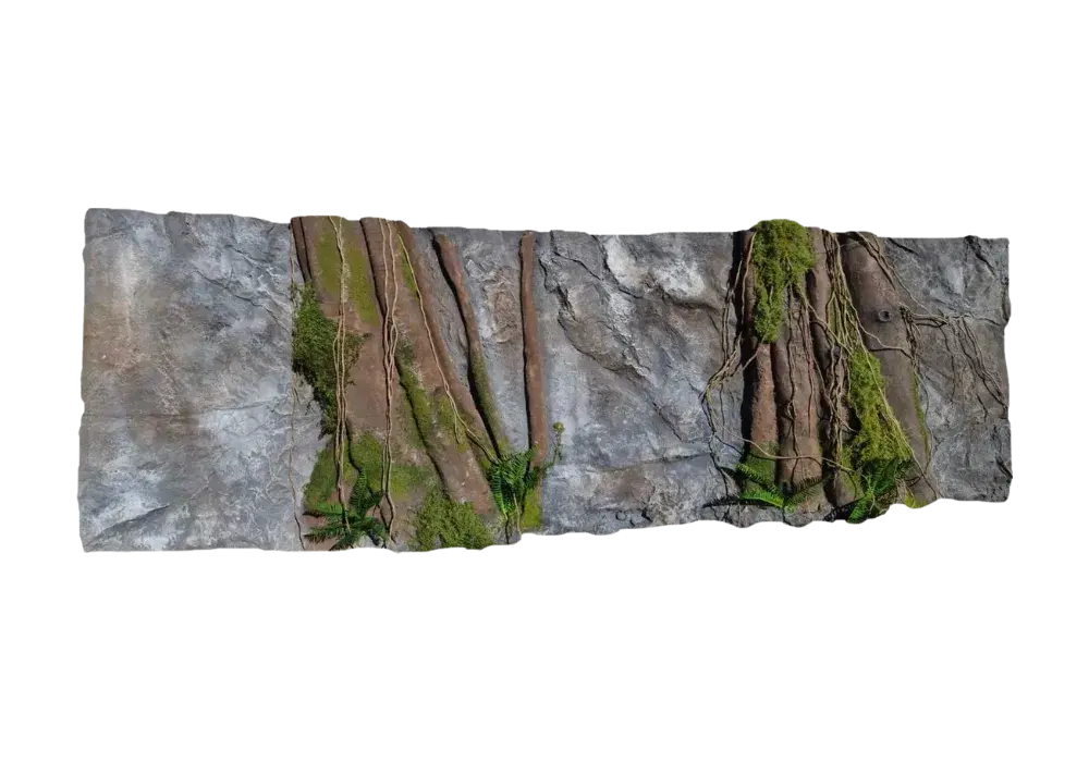 E 27 - Slim Amazonian Background