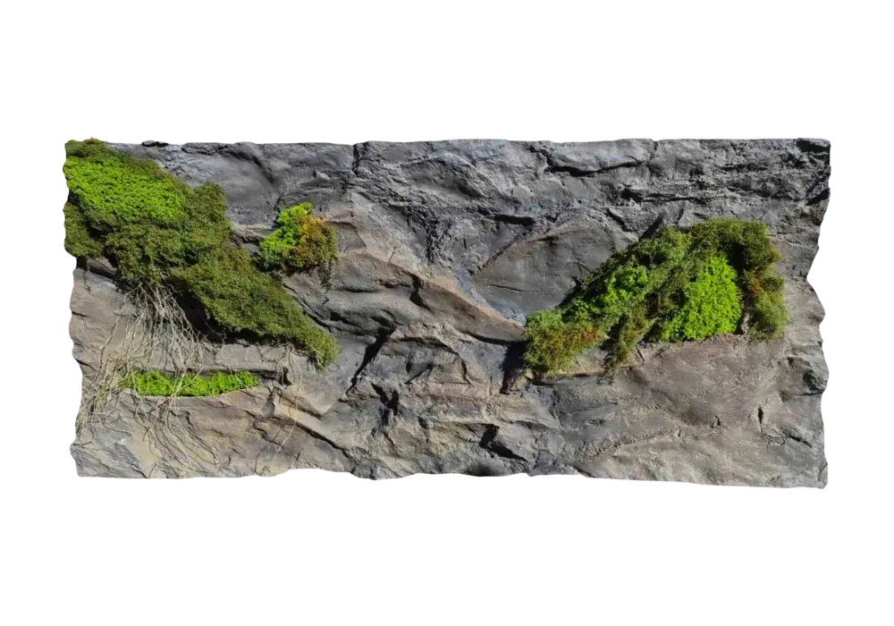 E 31 - Slim Amazonian Background