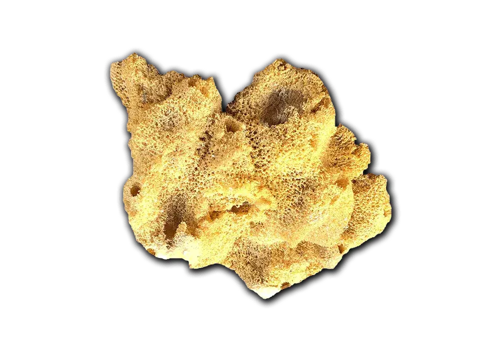 aquadecor-saltwater-aquarium-backgrounds-model