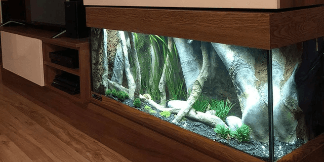 aquarium-decorations-aquadecor-backgrounds