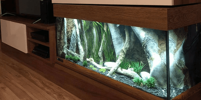 aquarium-decorations-aquadecor-backgrounds