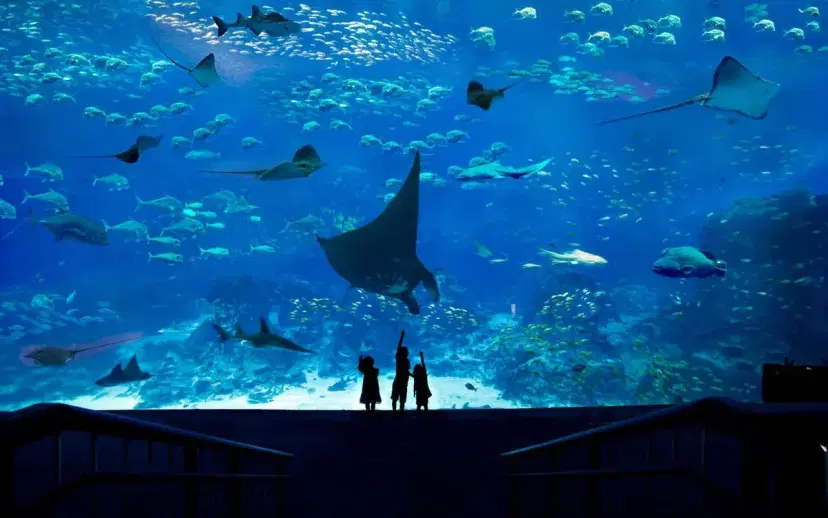 biggest-aquarium-sea-aquarium