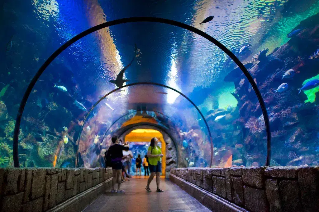 biggest-aquarium-shark-vegas