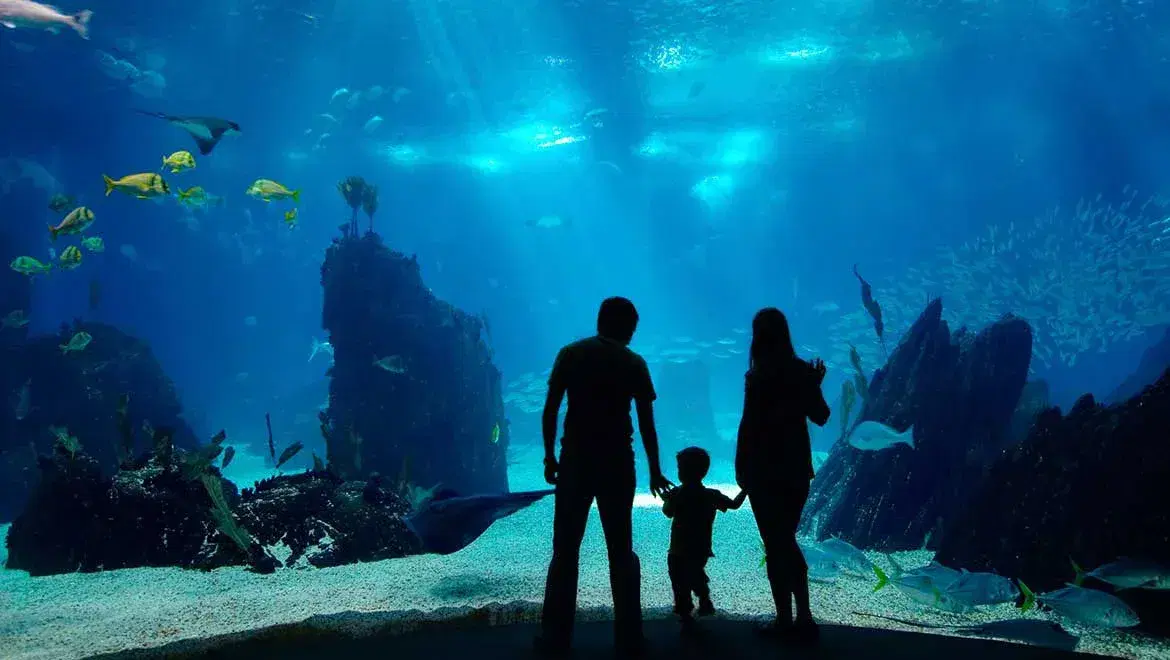 biggest-aquarium-shed-aquarium