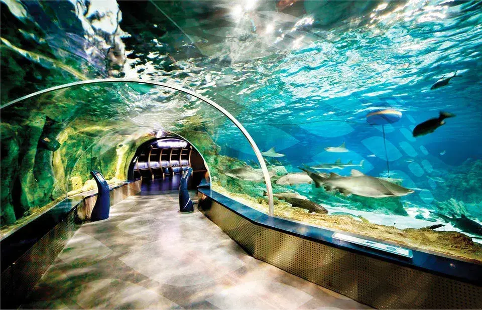 biggest-aquarium-turkuazo-istanbul