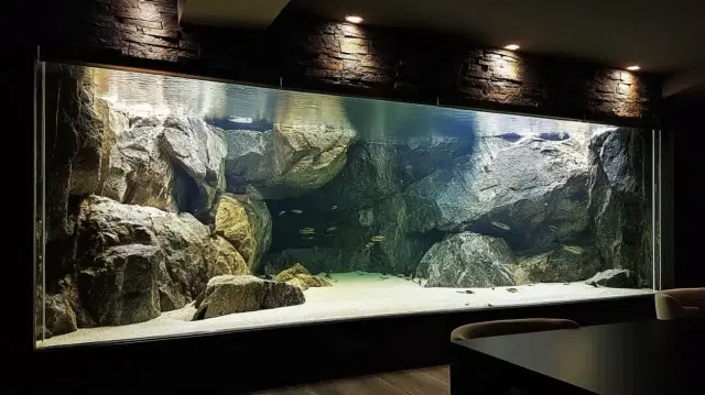 designing-eye-catching-aquariums