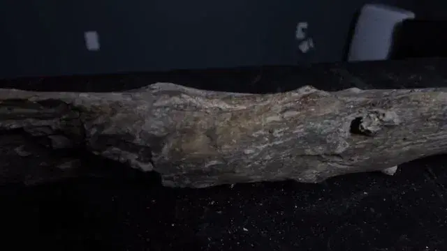 log-for-aquarium-background-aquadecor