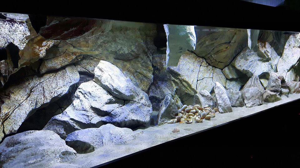 Aquarium Backgrounds Massive Rocks Aquadecor 001 