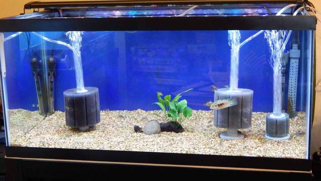 aquarium filter with aquadecor background