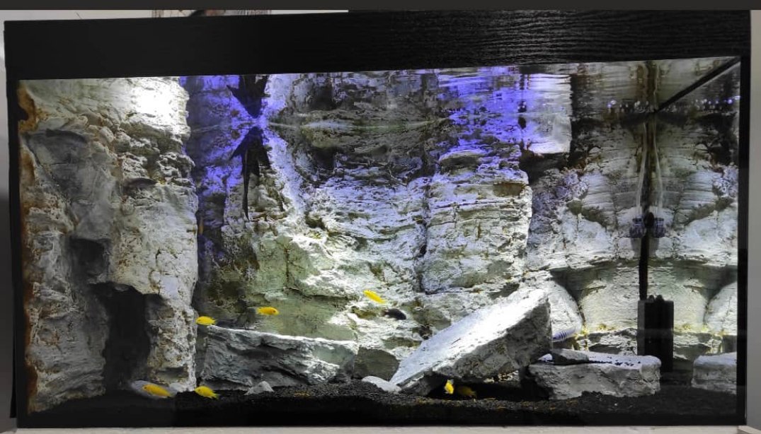 slim rocky 3d aquarium background for fish tanks