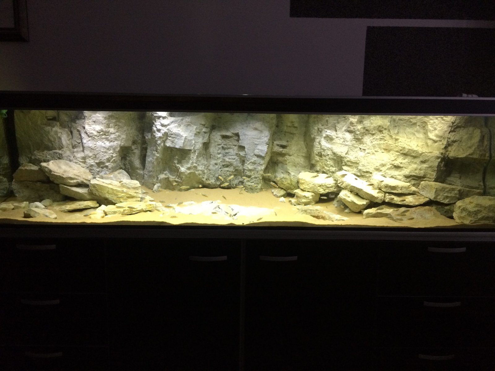 slim rocky 3d aquarium background for fish tanks