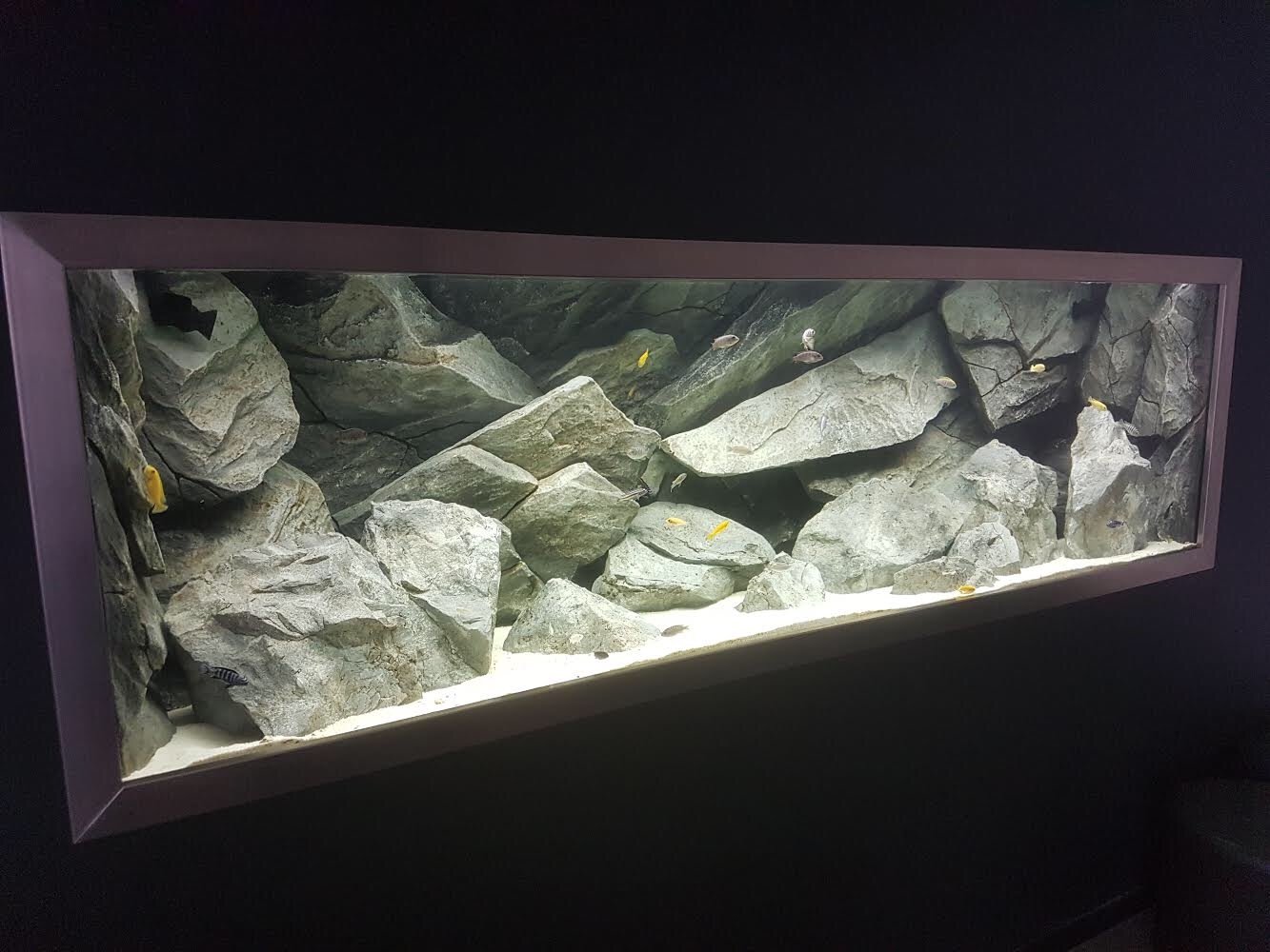 The Most Realistic 3D Aquarium Backgrounds - Aquadecor