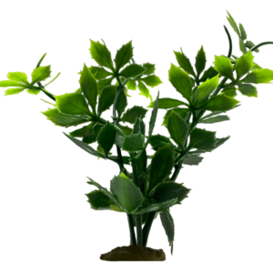 Z Models - Plants